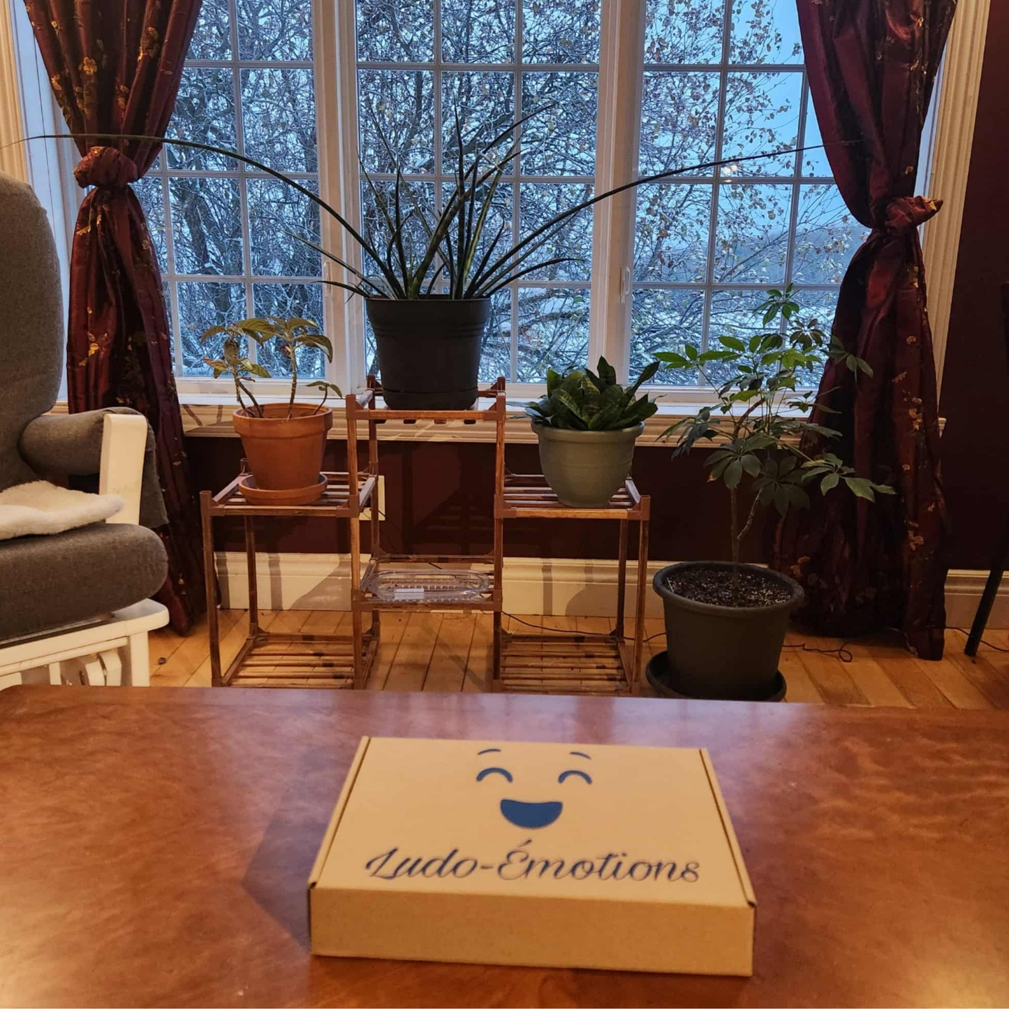Boîte extérieure du jeu éducatif Ludo-Émotions posée sur une table dans un environnement chaleureux