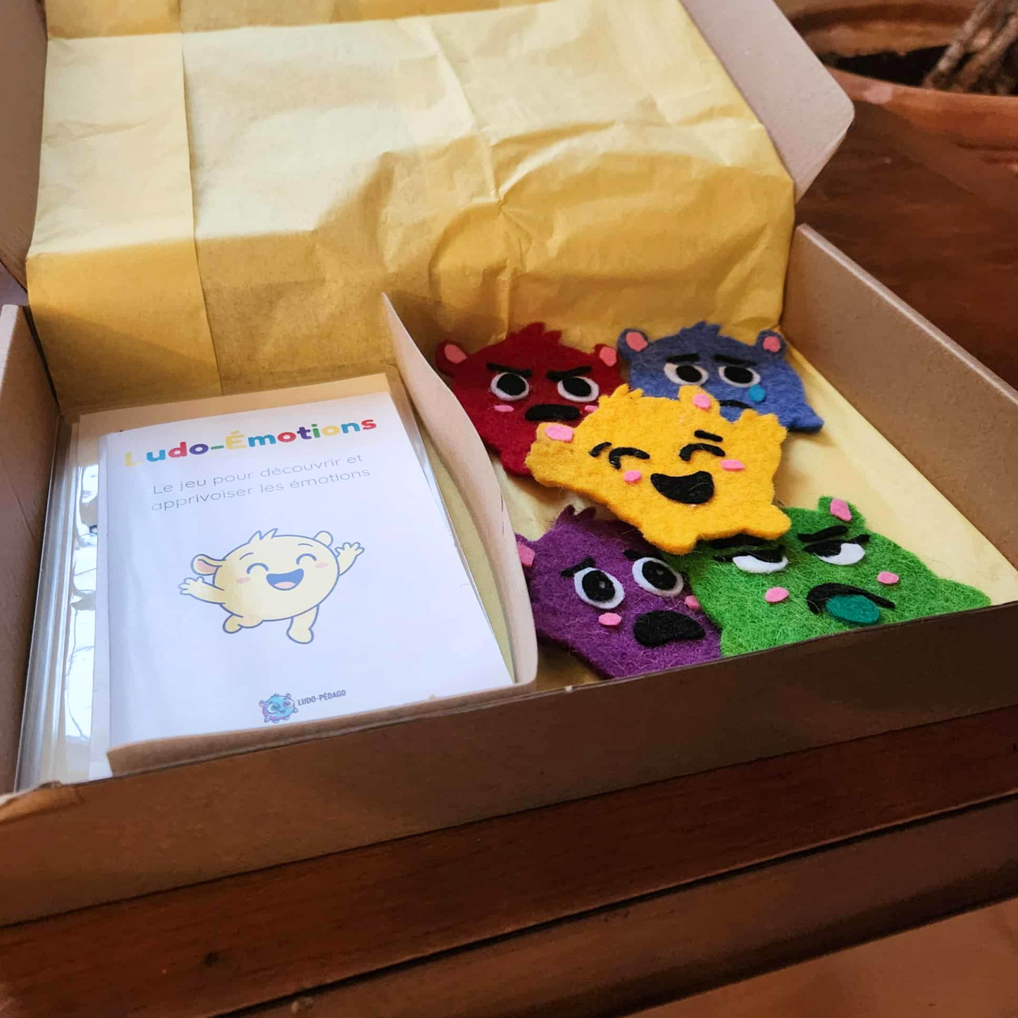 Ludo-Émotions