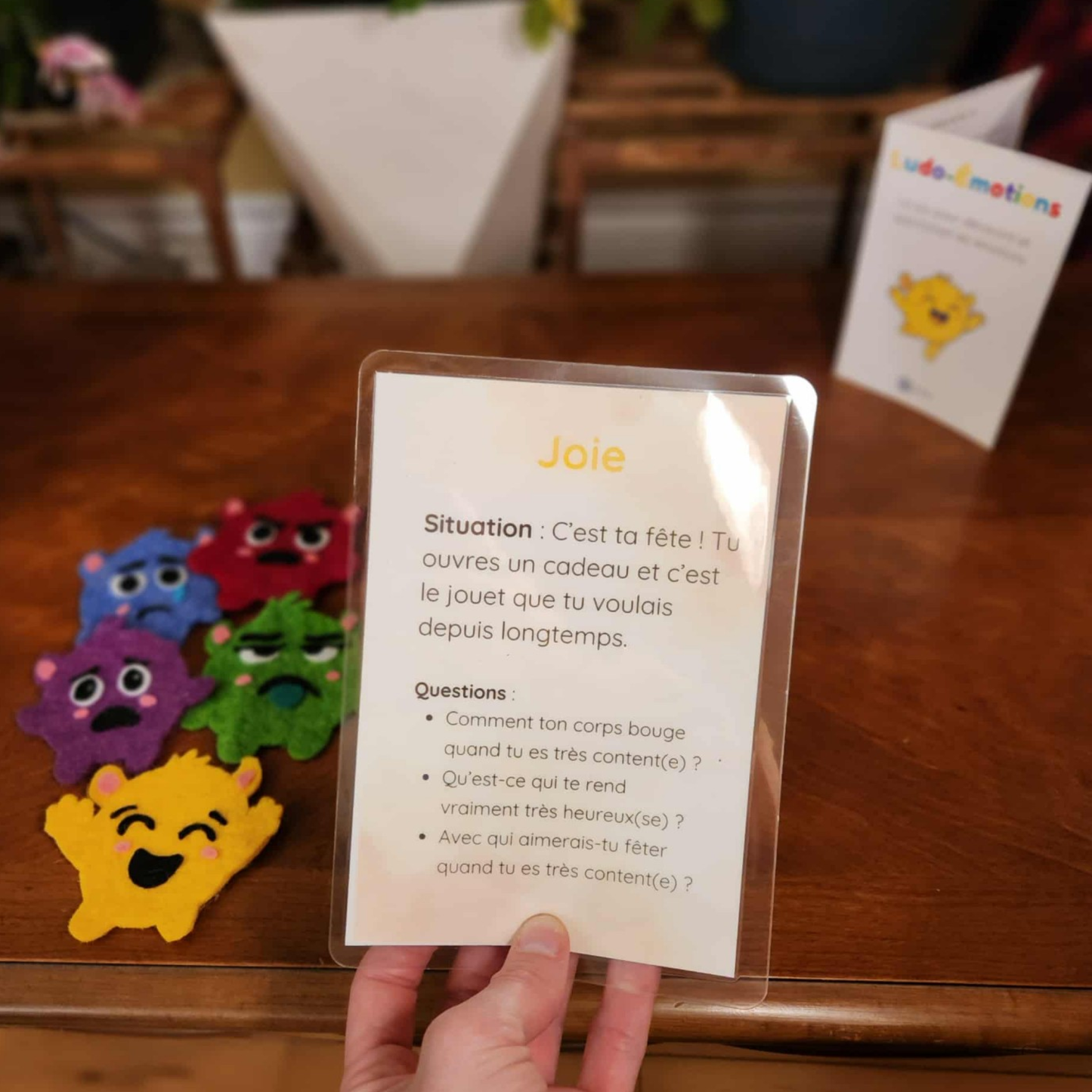 Ludo-Émotions